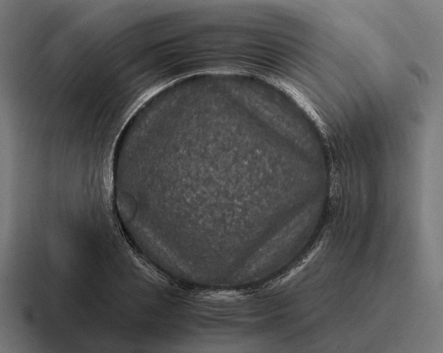 X0000116800837200912311934