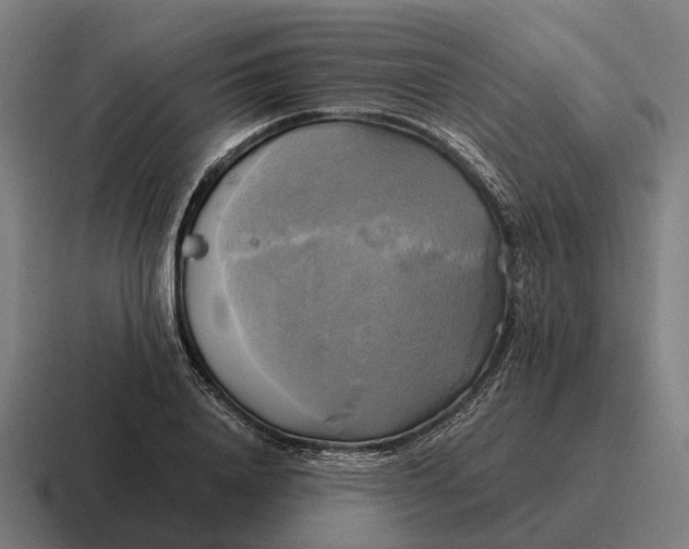 X0000116800840200912311934