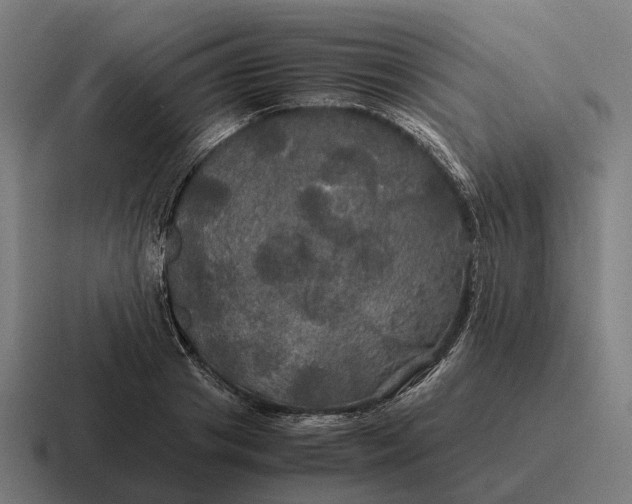 X0000116800841200912311934