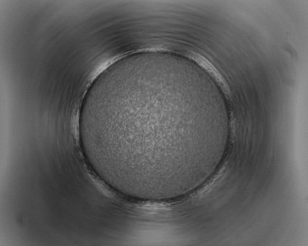 X0000116800842200912311934