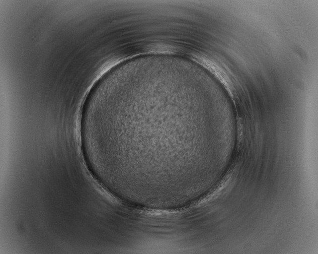 X0000116800843200912311935