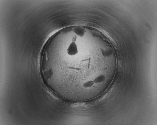 X0000116800846200912311935