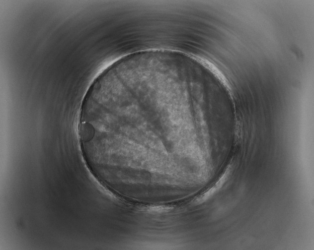 X0000116800847200912311935