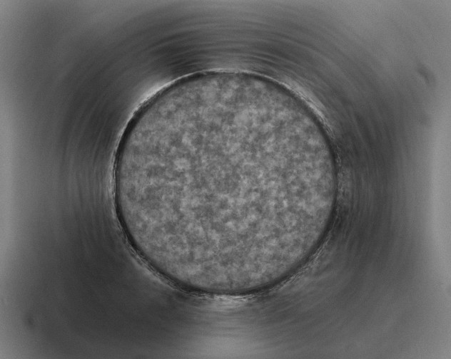 X0000116800848200912311935