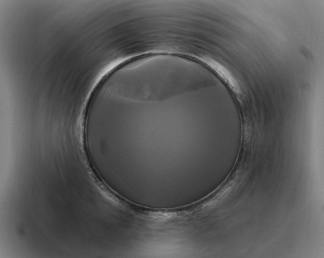 X0000116800854200912311935