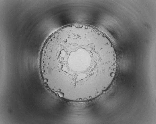 X0000116800856200912311935