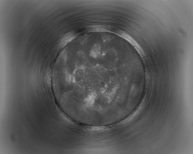 X0000116800857200912311935