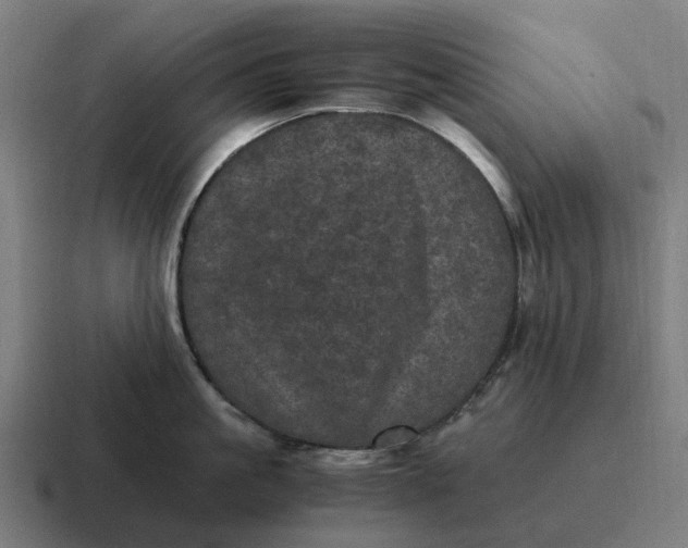 X0000116800861200912311935