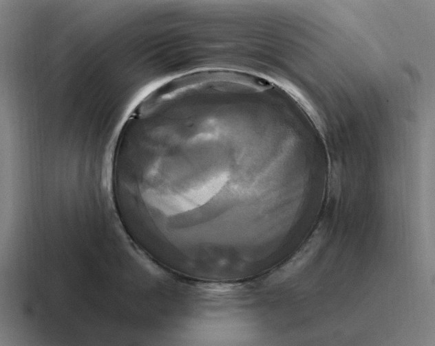 X0000116800862200912311935