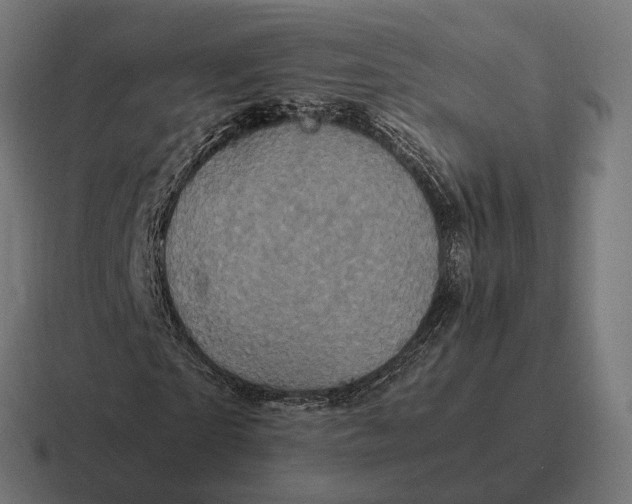 X0000116800865200912311934