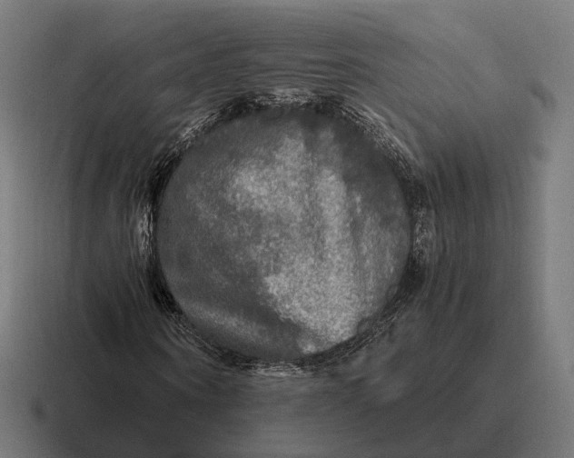 X0000116800866200912311934