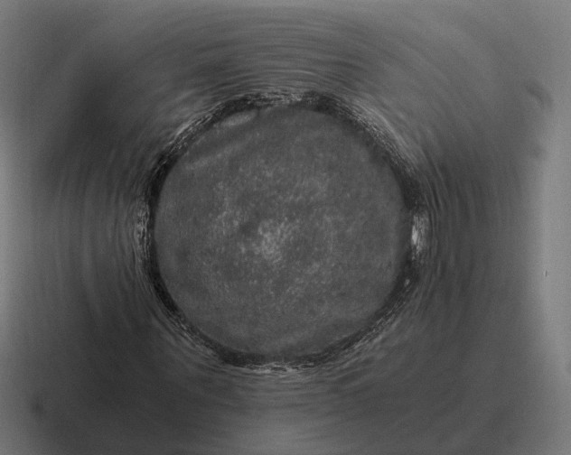 X0000116800867200912311934