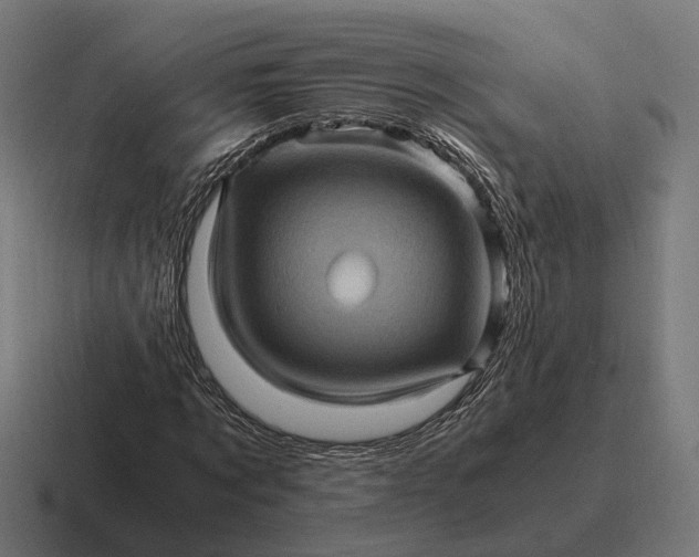 X0000116800869200912311934