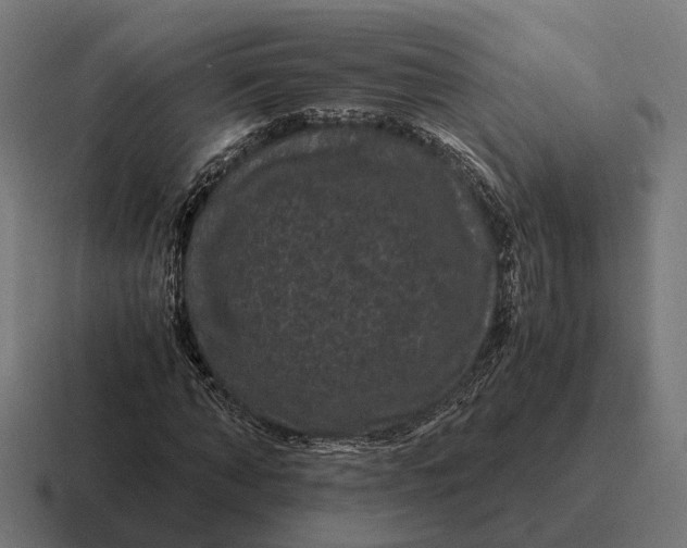 X0000116800870200912311934