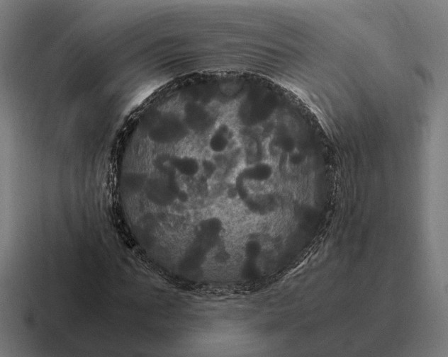 X0000116800871200912311934