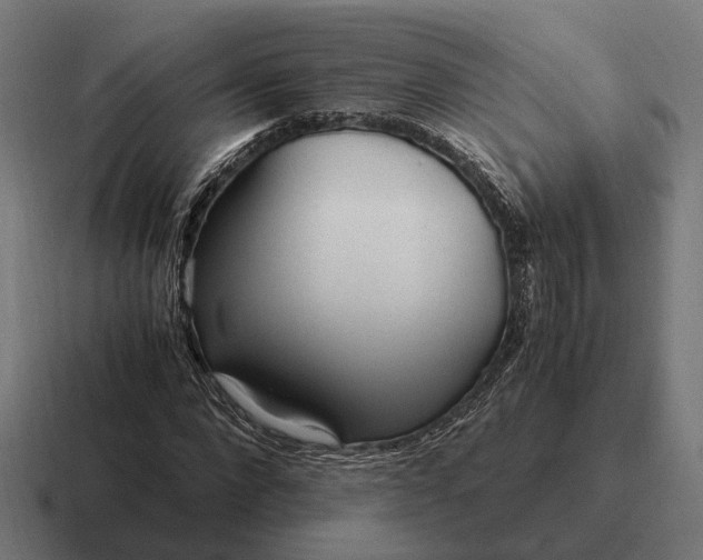 X0000116800872200912311934