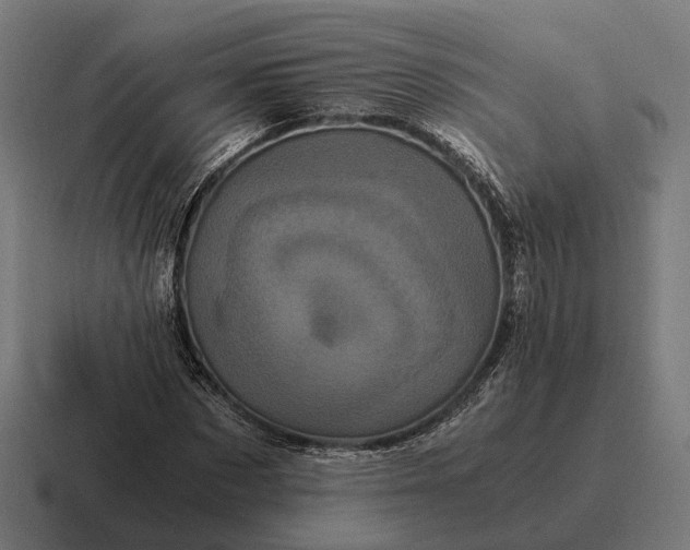 X0000116800873200912311934