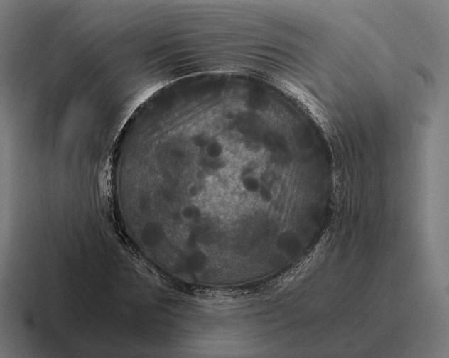 X0000116800875200912311934