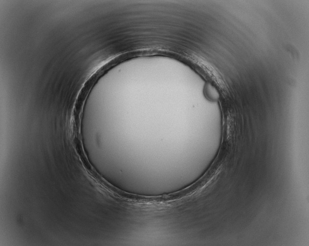 X0000116800876200912311934