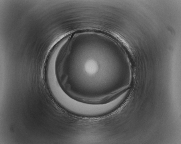 X0000116800877200912311934