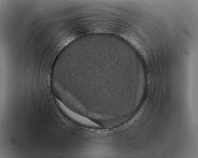 X0000116800881200912311934