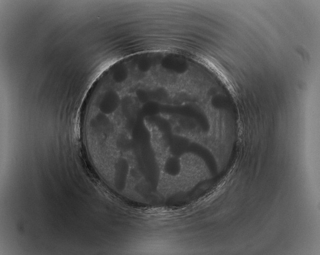 X0000116800883200912311934