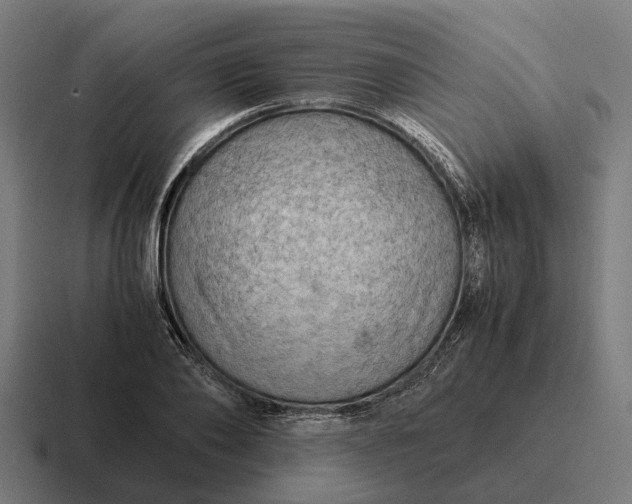 X0000116800886200912311934