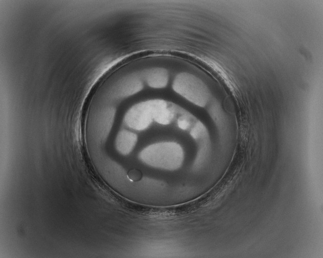 X0000116800887200912311934