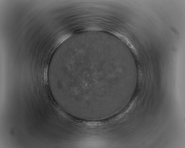 X0000116800889200912311934