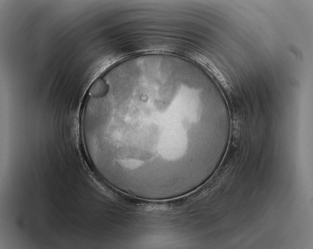 X0000116800890200912311934