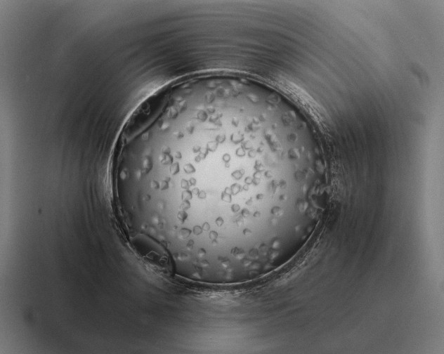 X0000116800892200912311934