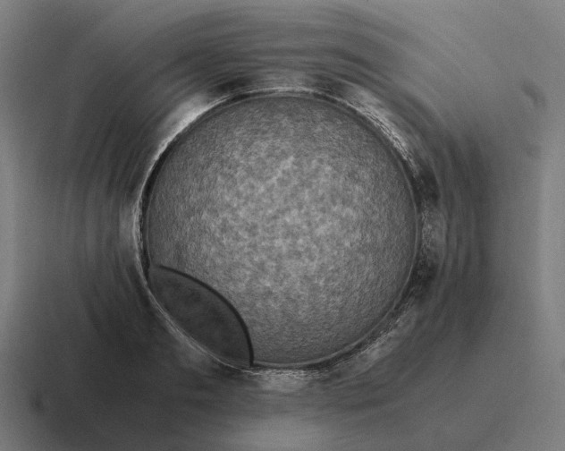 X0000116800893200912311934