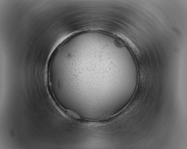 X0000116800894200912311934