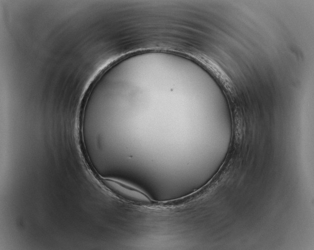 X0000116800896200912311934