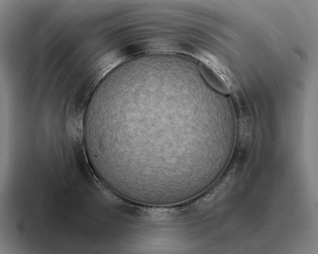 X0000116800897200912311934