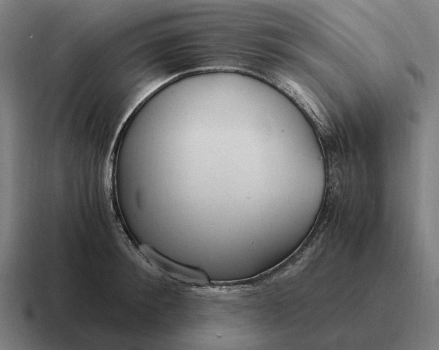 X0000116800900200912311934