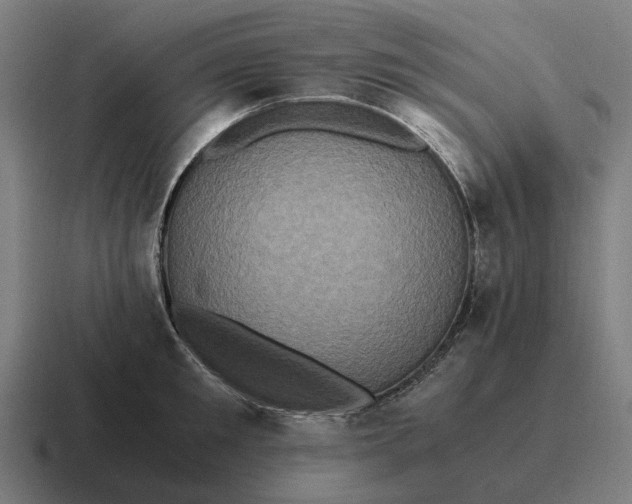 X0000116800901200912311934