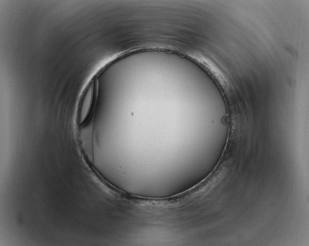 X0000116800902200912311934