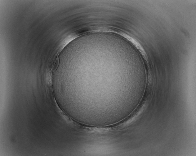 X0000116800905200912311934