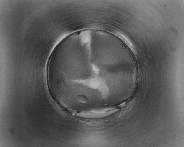 X0000116800907200912311934