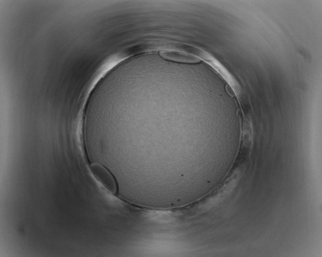 X0000116800909200912311934