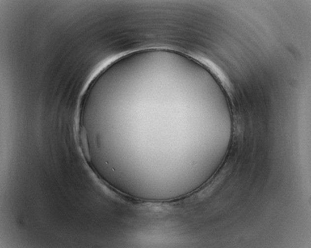 X0000116800910200912311934