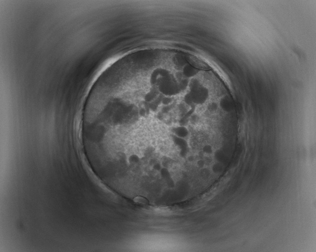 X0000116800911200912311934