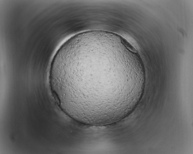 X0000116800912200912311934