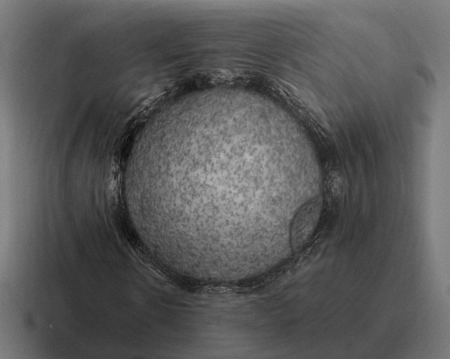 X0000116800914200912311933