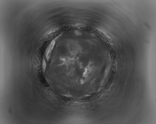 X0000116800917200912311933