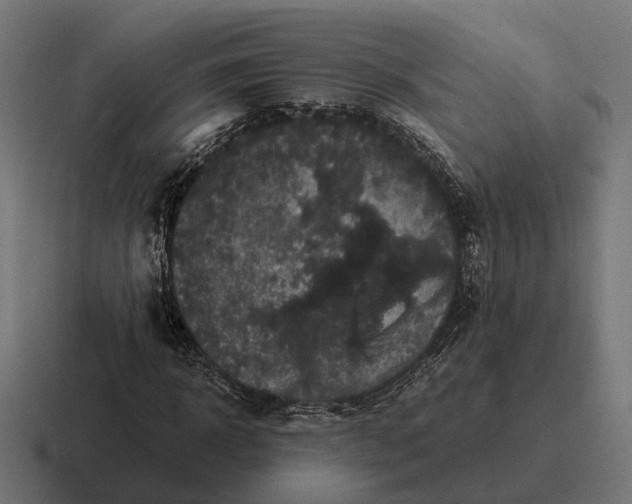 X0000116800918200912311933