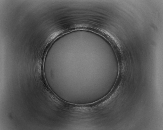 X0000116800921200912311933