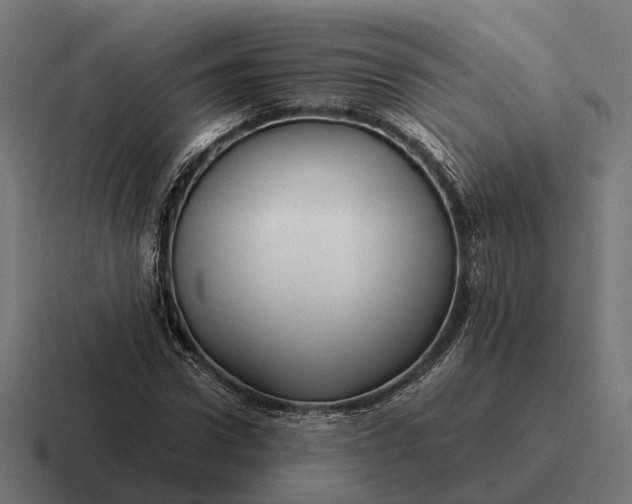 X0000116800922200912311933