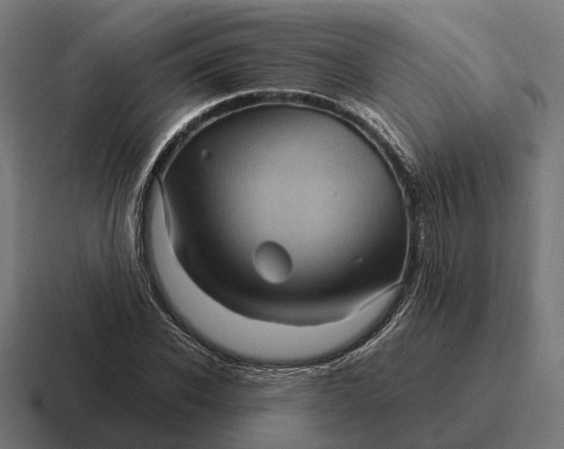 X0000116800926200912311933